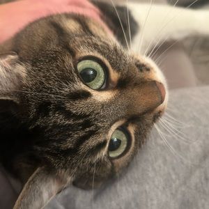 Meet your Posher, Cari